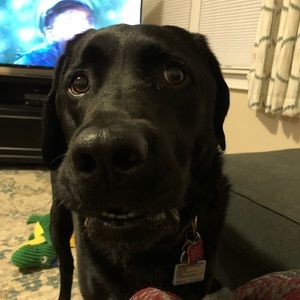 Meet your Posher, Kaitln